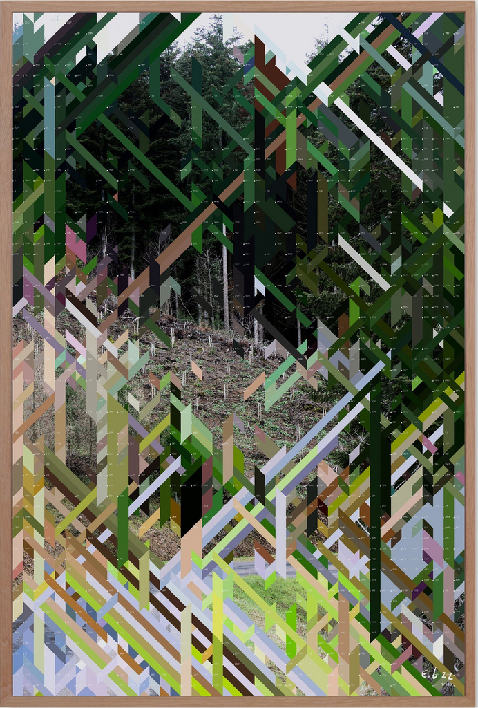 Replanted Fir – Edition Erwan Bouroullec