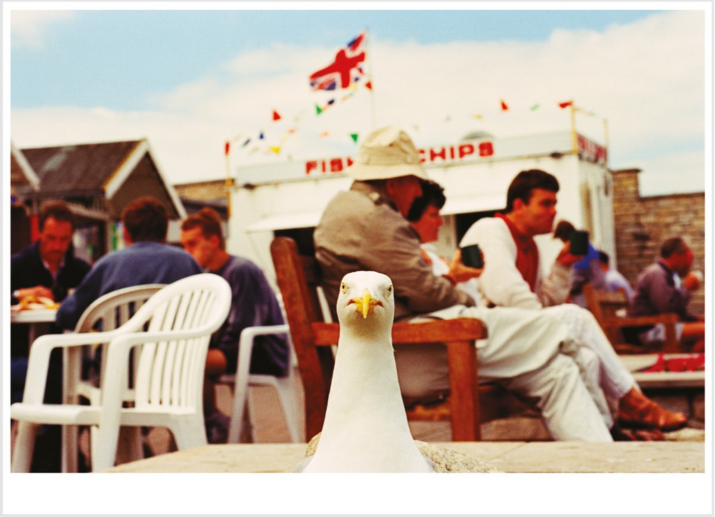 West Bay Martin Parr