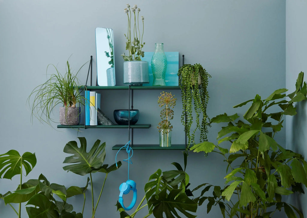 Shrink Forest Studio Hausen