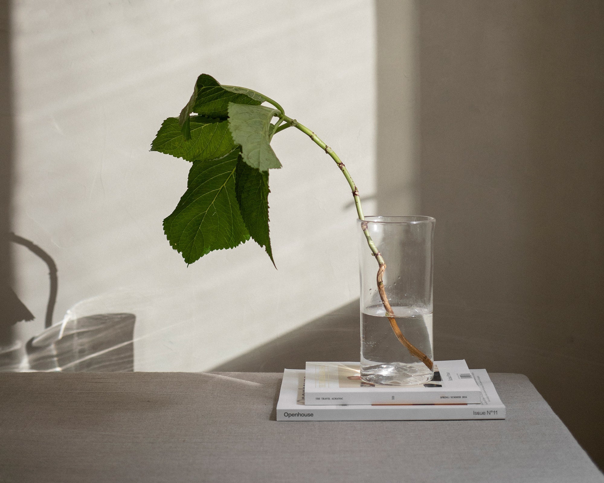 FRAMA - 0405 Vase | Clear Frama