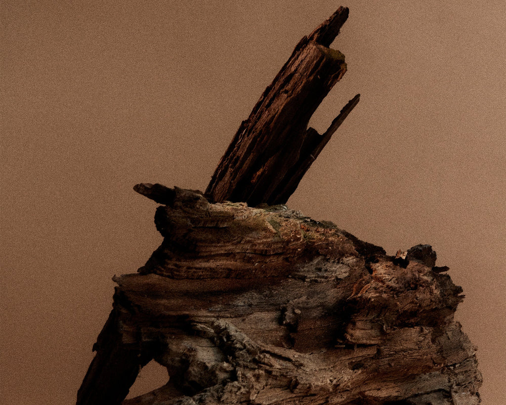 FRAMA - Eau de Parfum | St. Pauls | 2.5 mL Frama