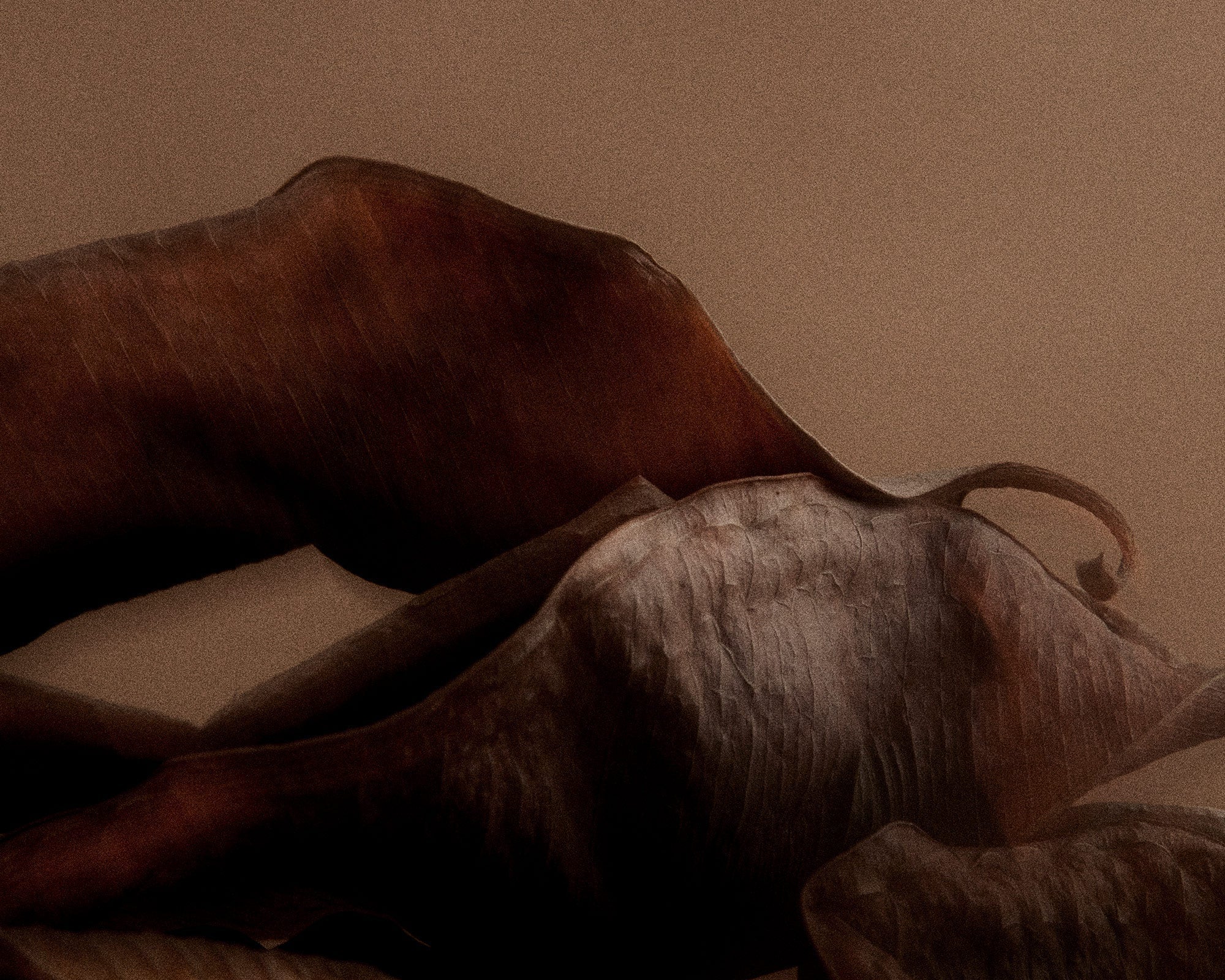 FRAMA - Eau de Parfum | 1917 | 2.5 mL