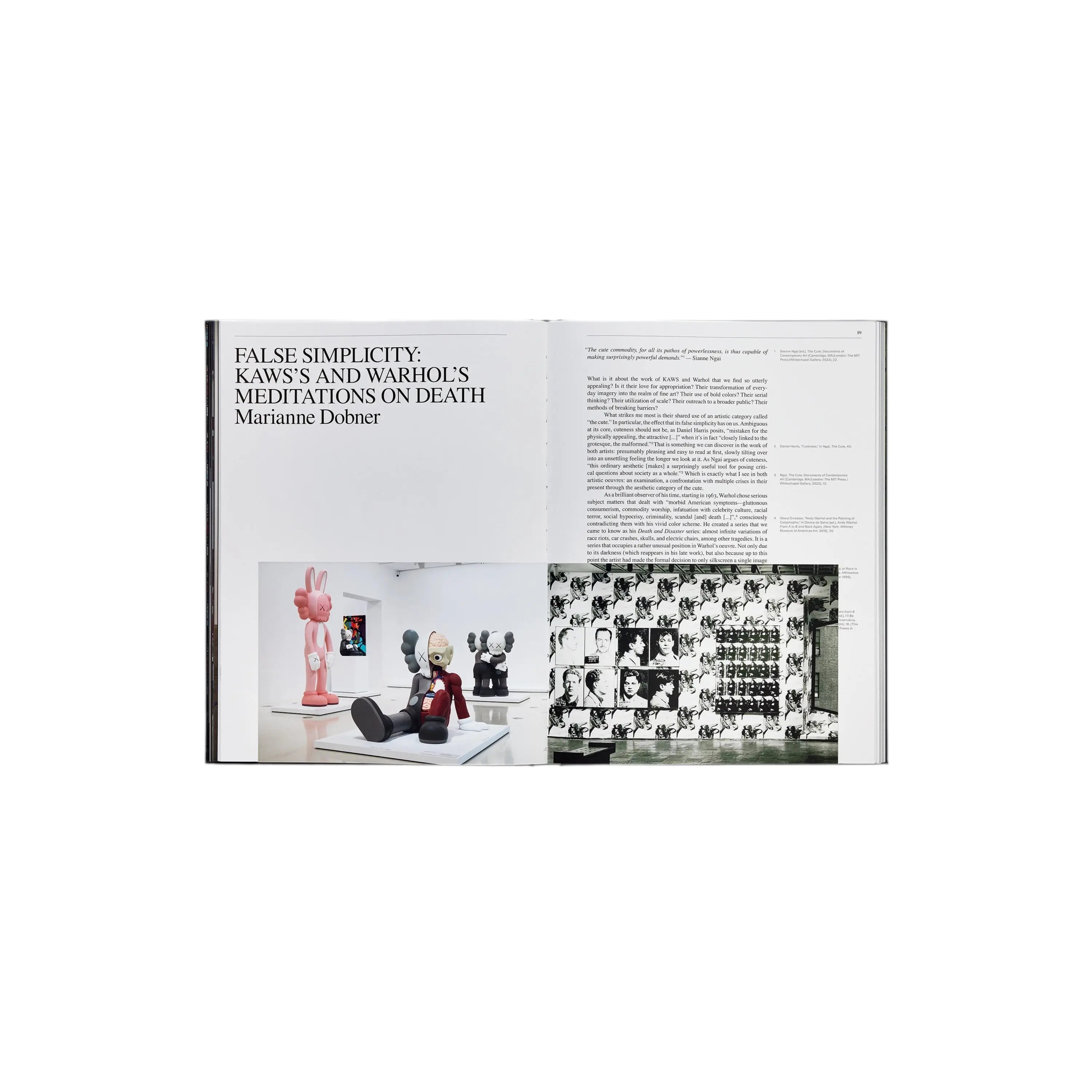 KAWS + Warhol Phaidon