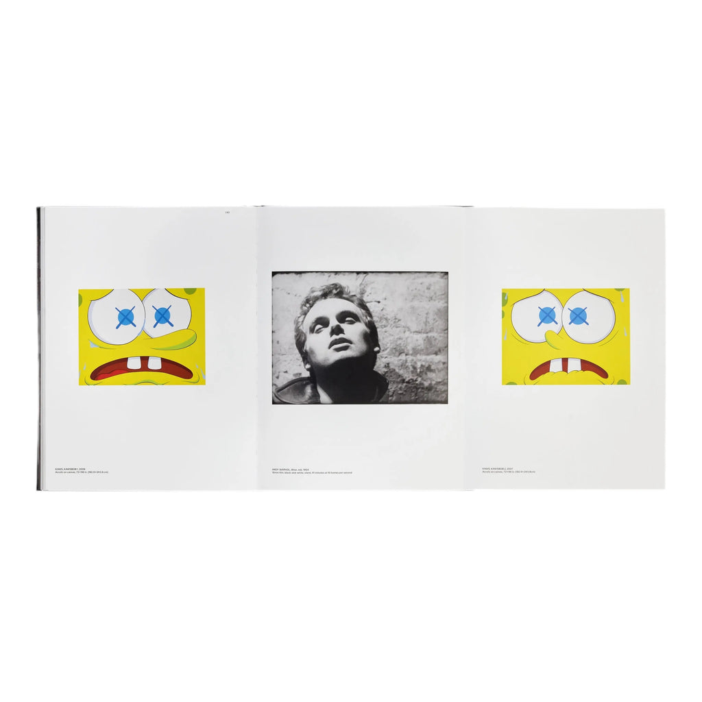 KAWS + Warhol Phaidon