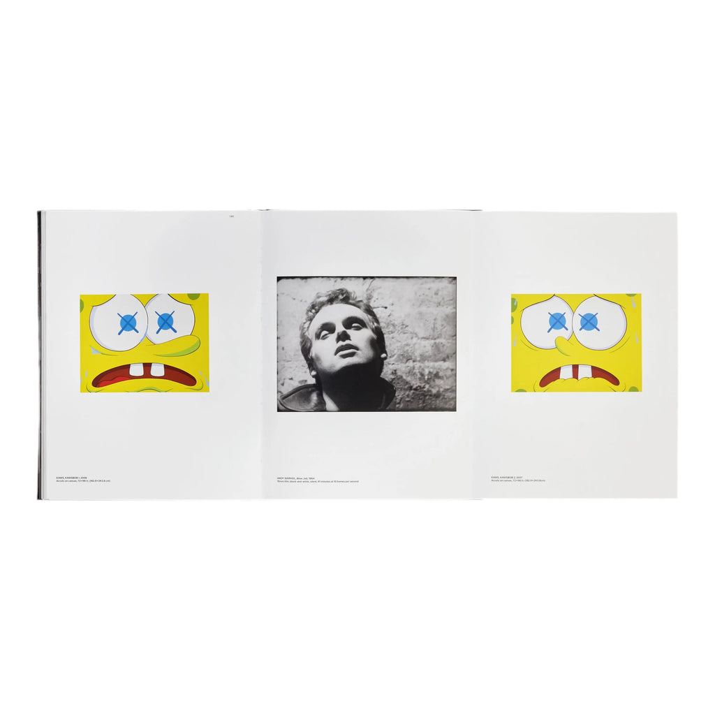 KAWS + Warhol Phaidon