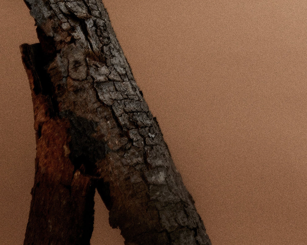 FRAMA - Eau de Parfum | St. Pauls | 50 mL Frama