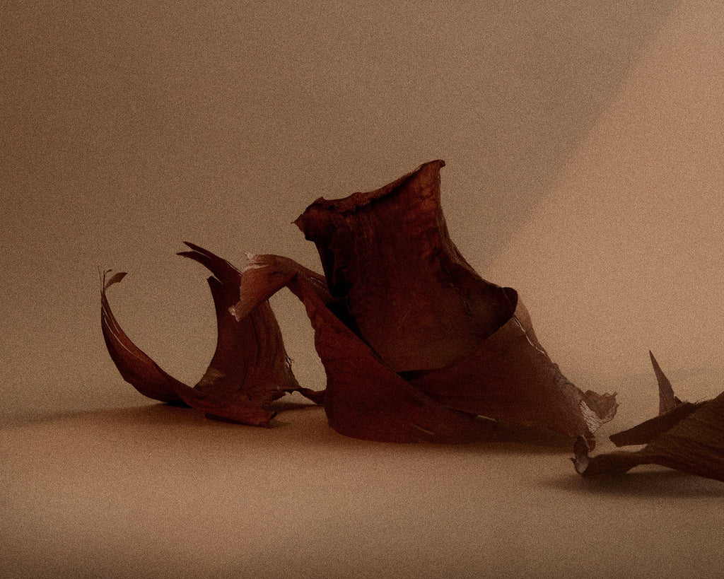 FRAMA - Eau de Parfum | 1917 | 50 mL Frama