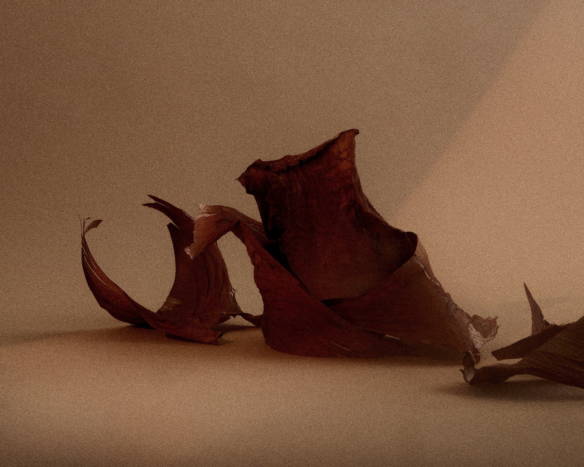 FRAMA - Eau de Parfum | 1917 | 50 mL