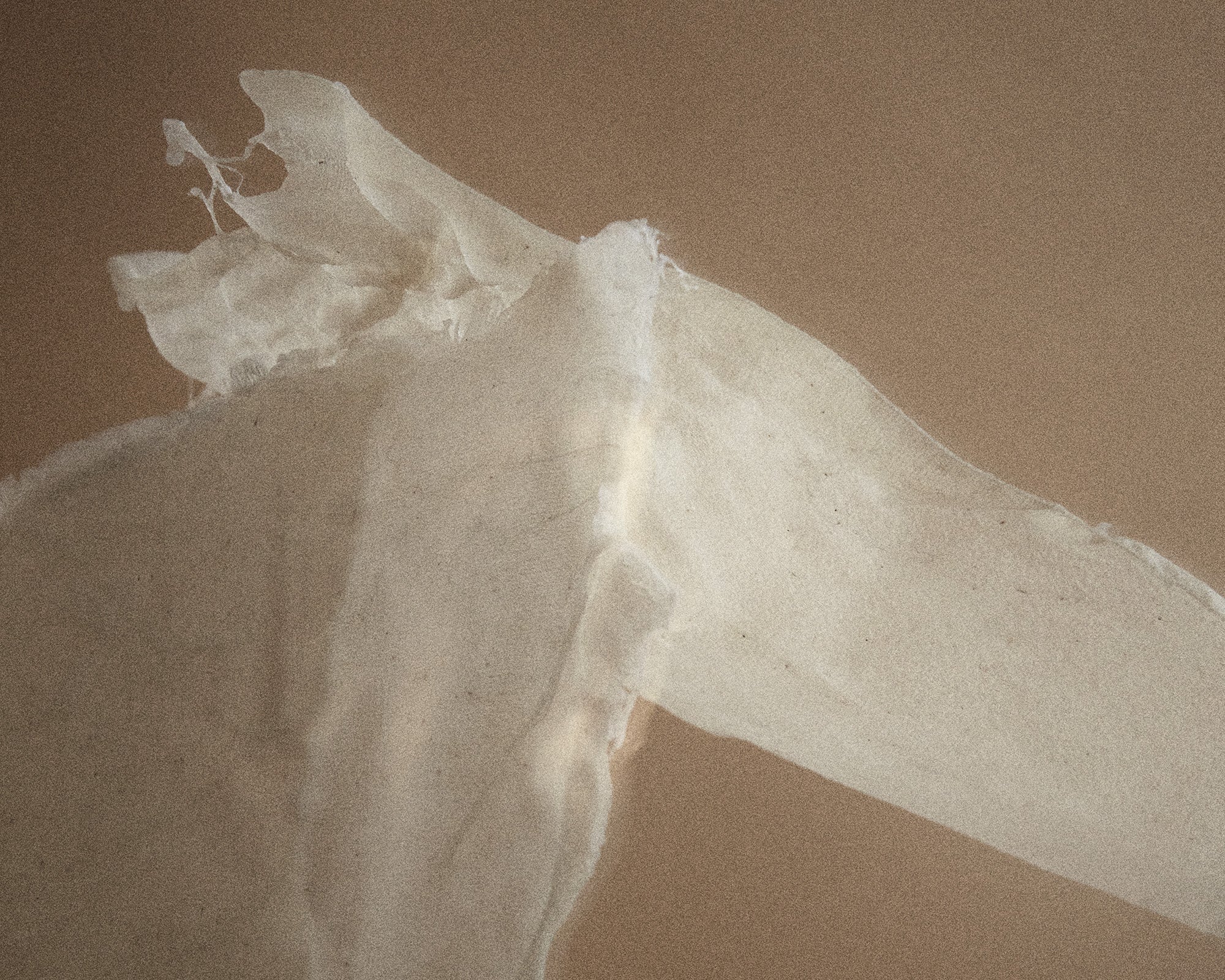 FRAMA - Eau de Parfum | Komorebi | 50 mL