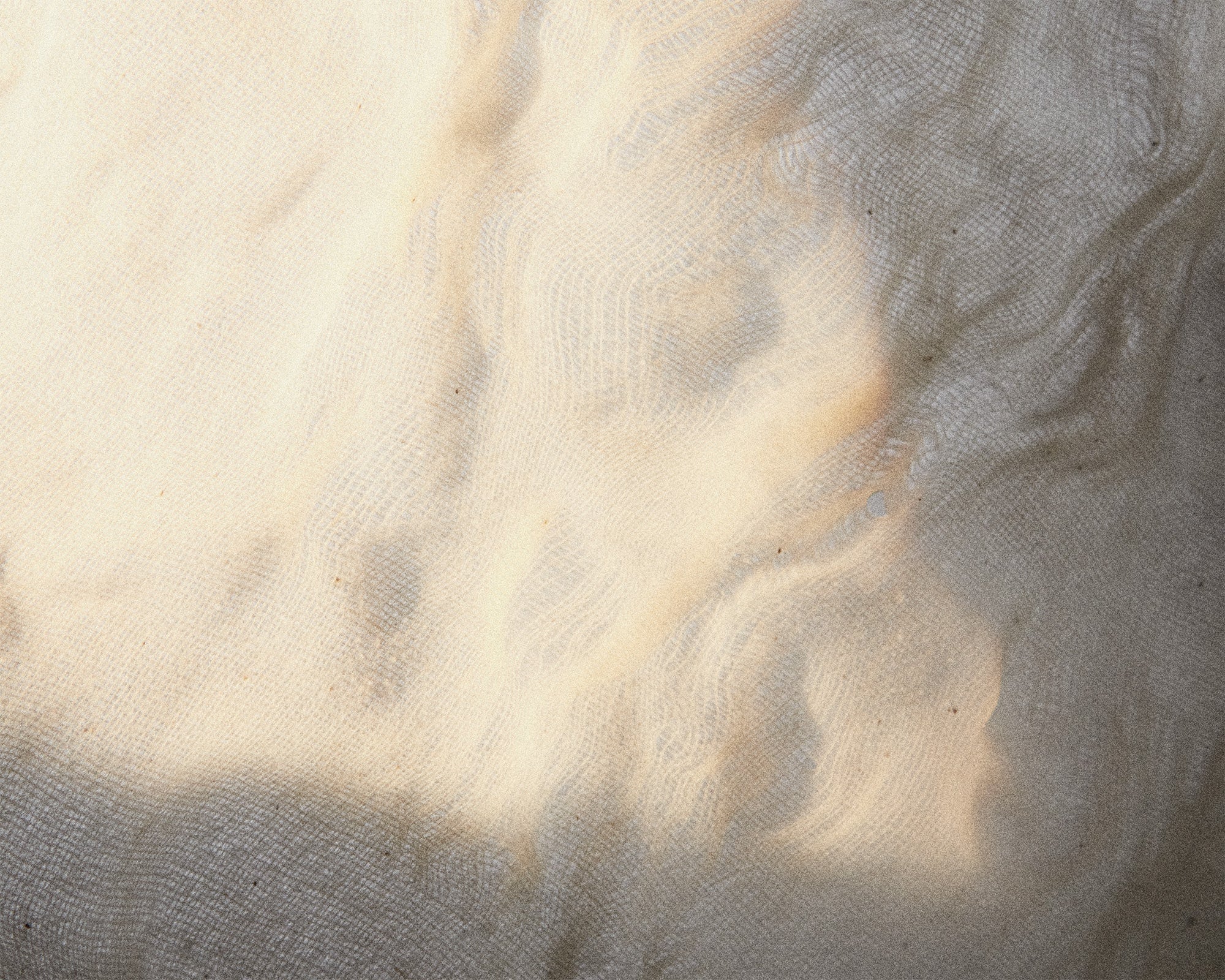 FRAMA - Eau de Parfum | Komorebi | 2.5 mL