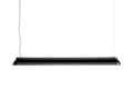 PC Linear HAY
