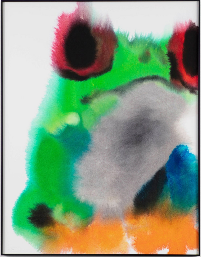 Frog – Edition Rop van Mierlo