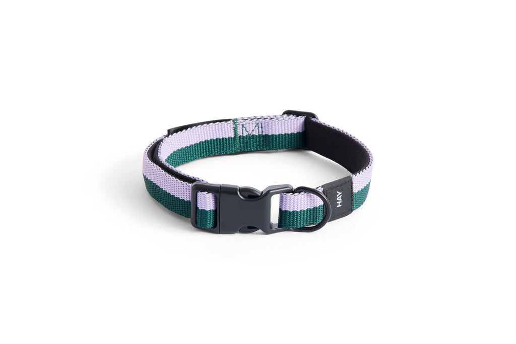 HAY Dogs Collar Flat HAY