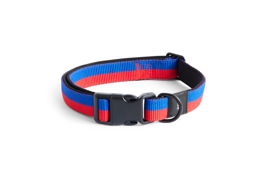 HAY Dogs Collar Flat HAY