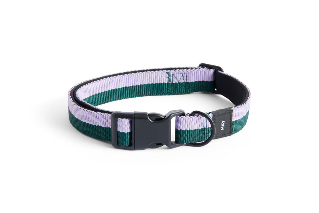 HAY Dogs Collar Flat HAY