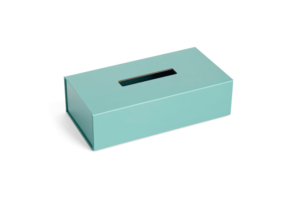 Colour Storage Tissue Box HAY