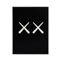 KAWS + Warhol Phaidon