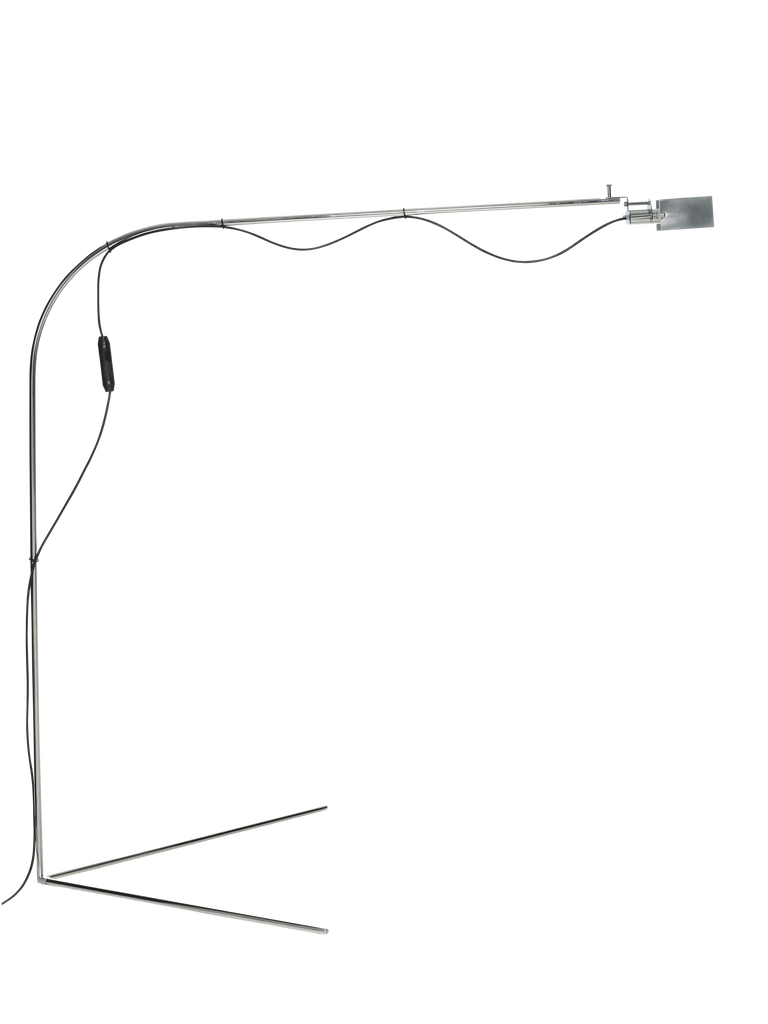 Flamingo BD Barcelona