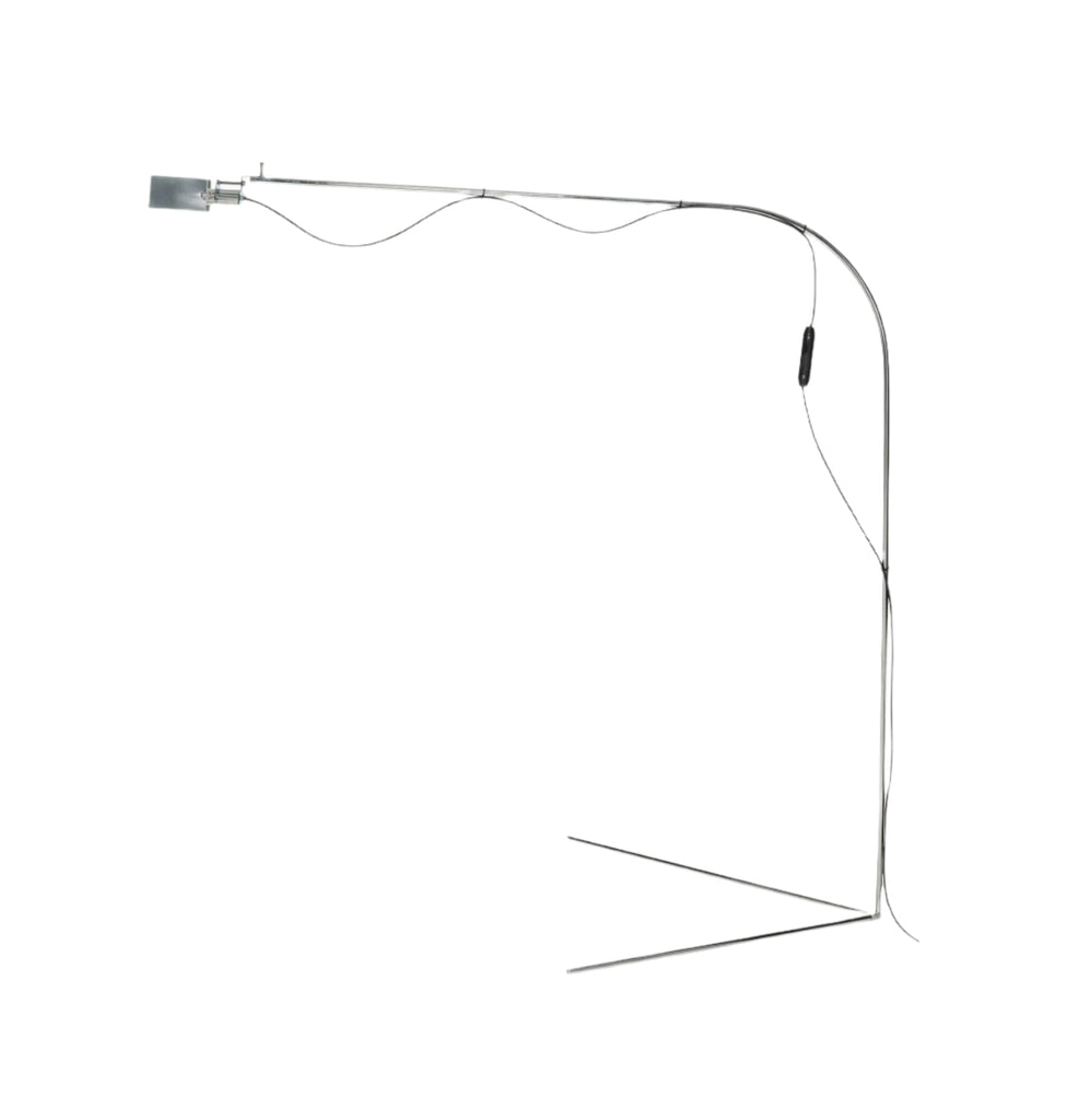 Flamingo BD Barcelona