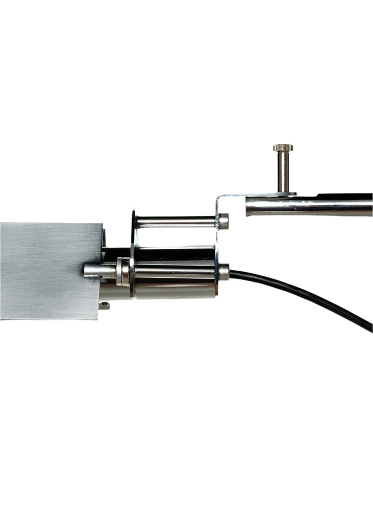 Flamingo BD Barcelona