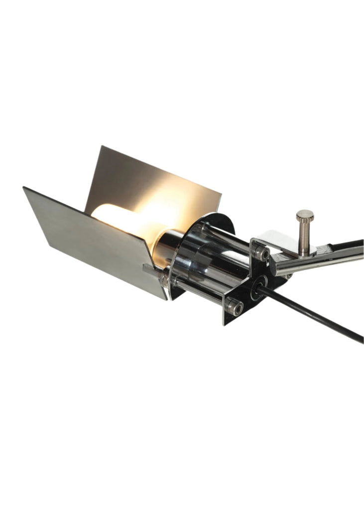 Flamingo BD Barcelona