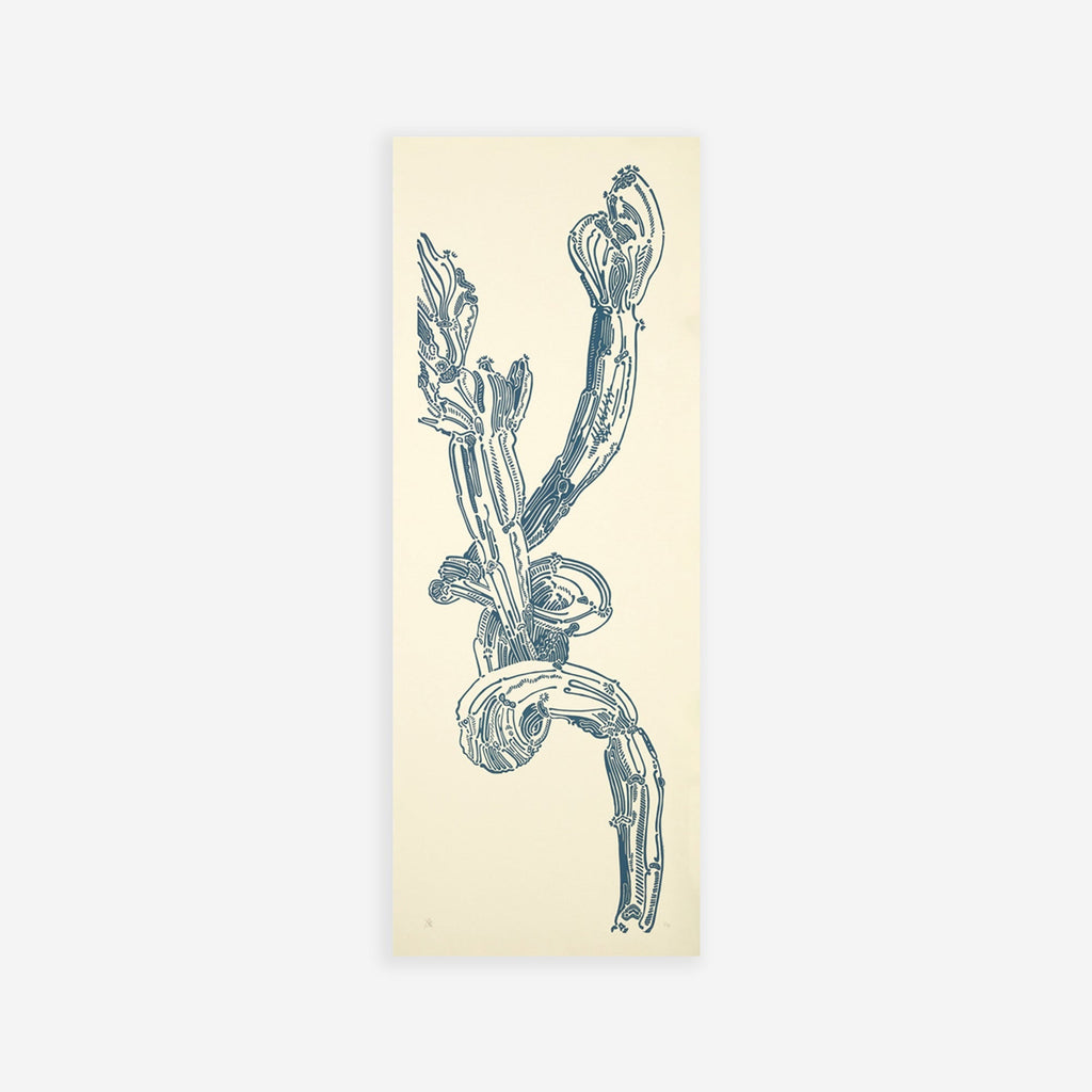 Crestata Loop – Edition Bethan Laura Wood