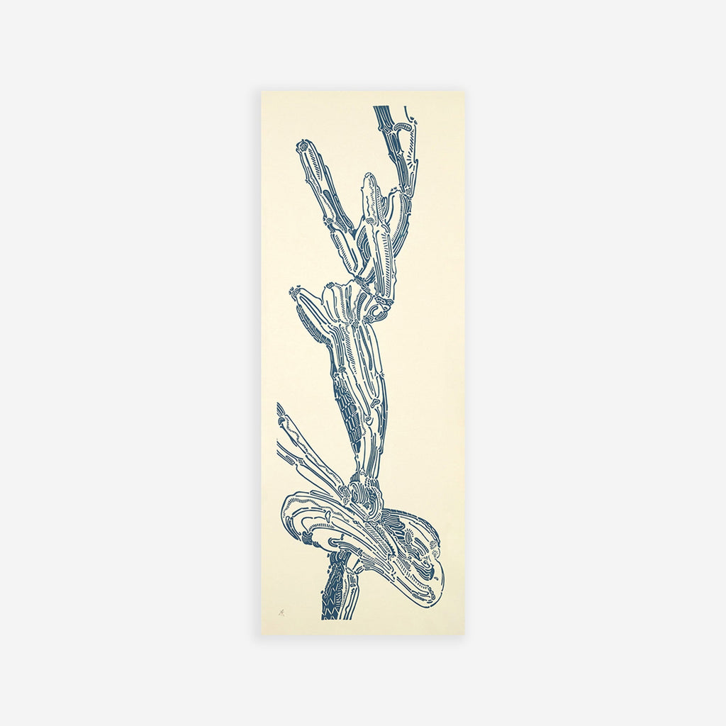 Crestata Knot – Edition