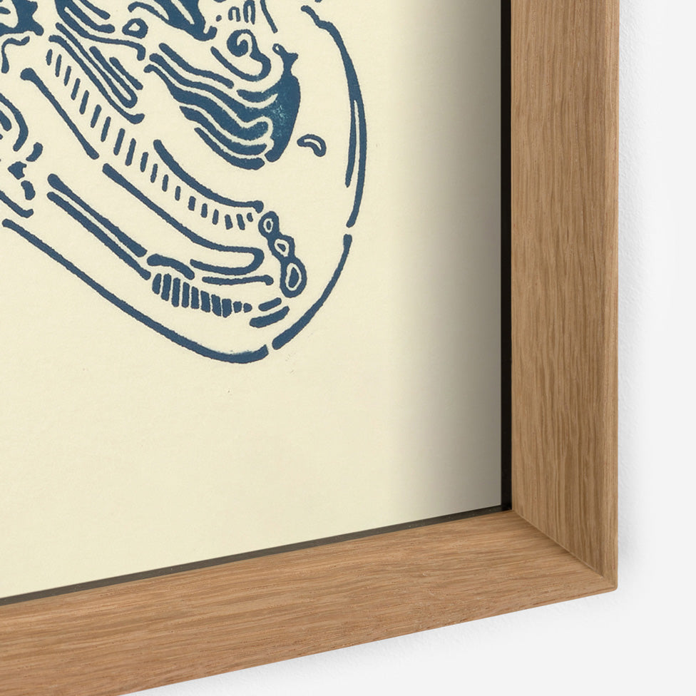 Crestata Knot – Edition Bethan Laura Wood