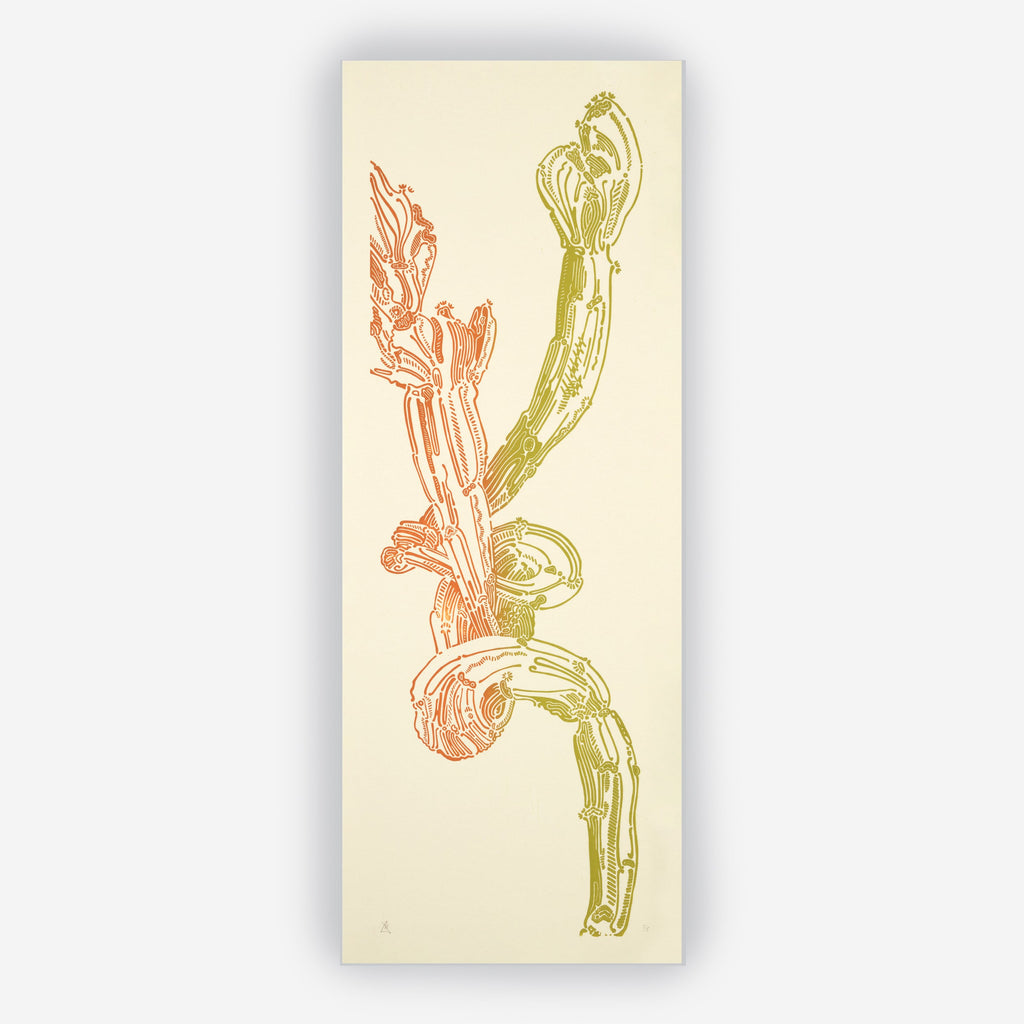 Crestata, Triptych – Edition
