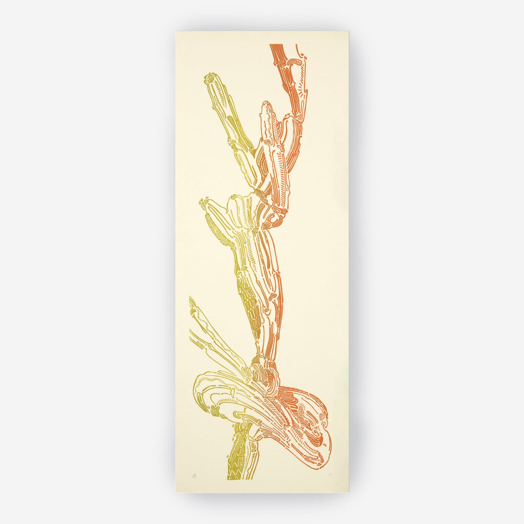 Crestata, Triptych – Edition Bethan Laura Wood