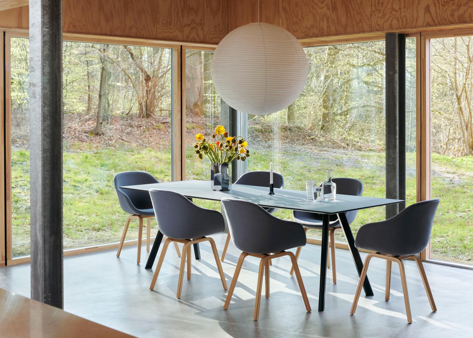 CPH 30 2.0 Table HAY