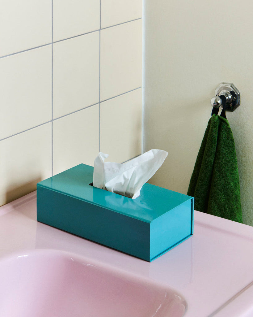 Colour Storage Tissue Box HAY