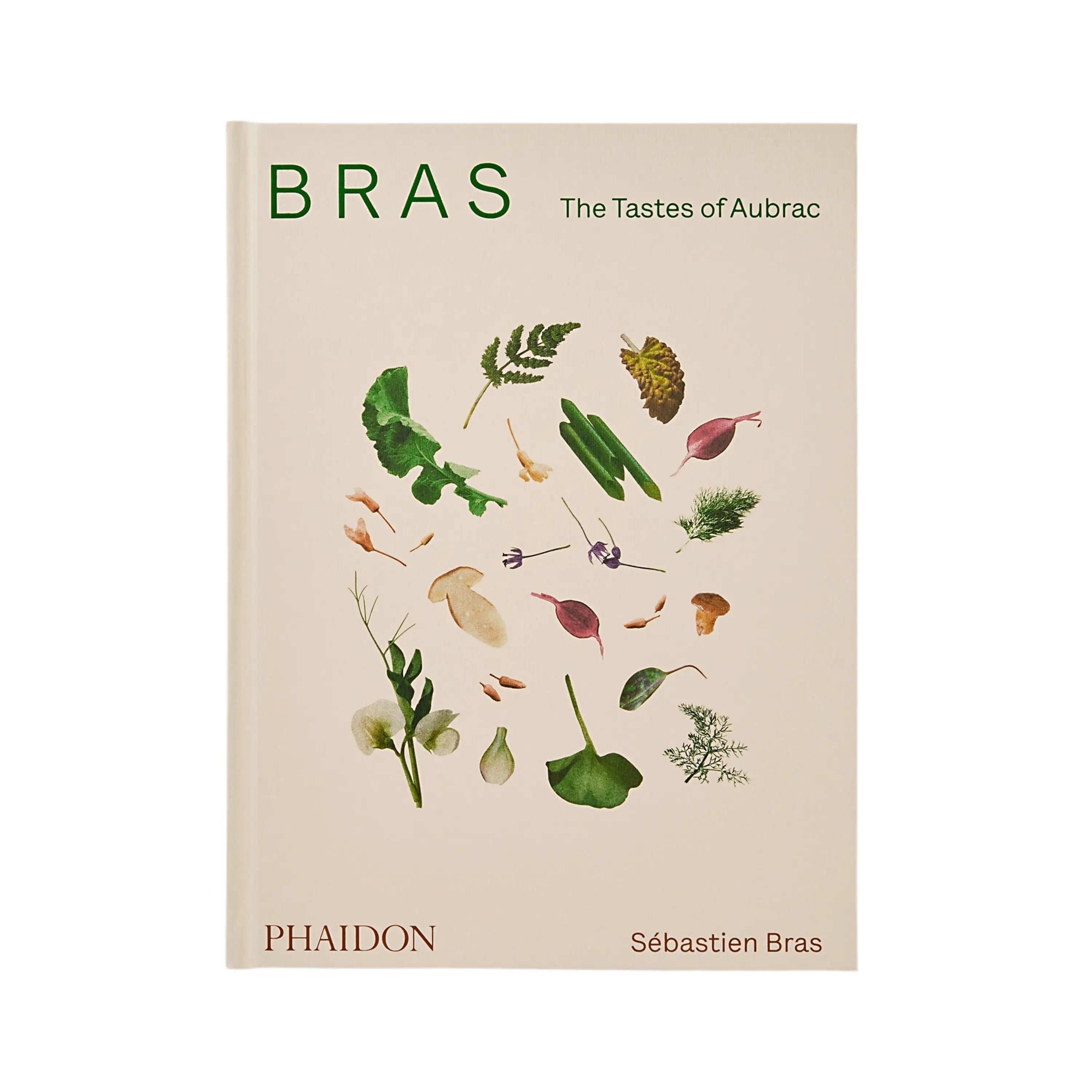 Bras Phaidon