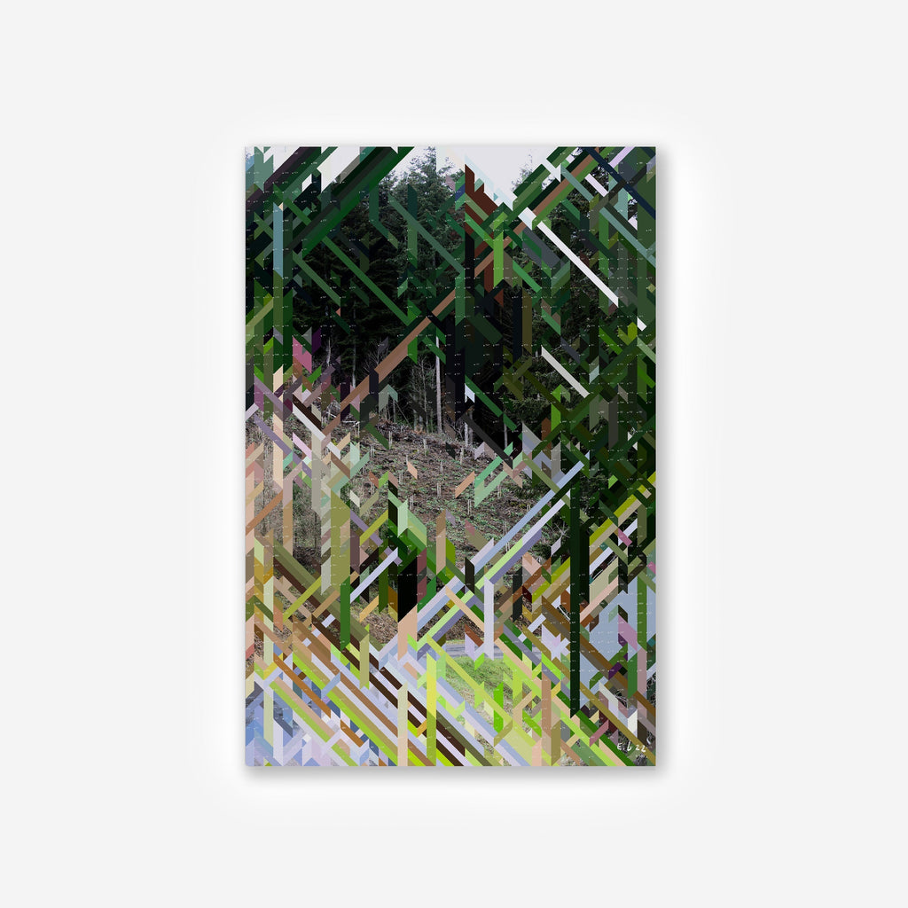 Replanted Fir – Edition Erwan Bouroullec