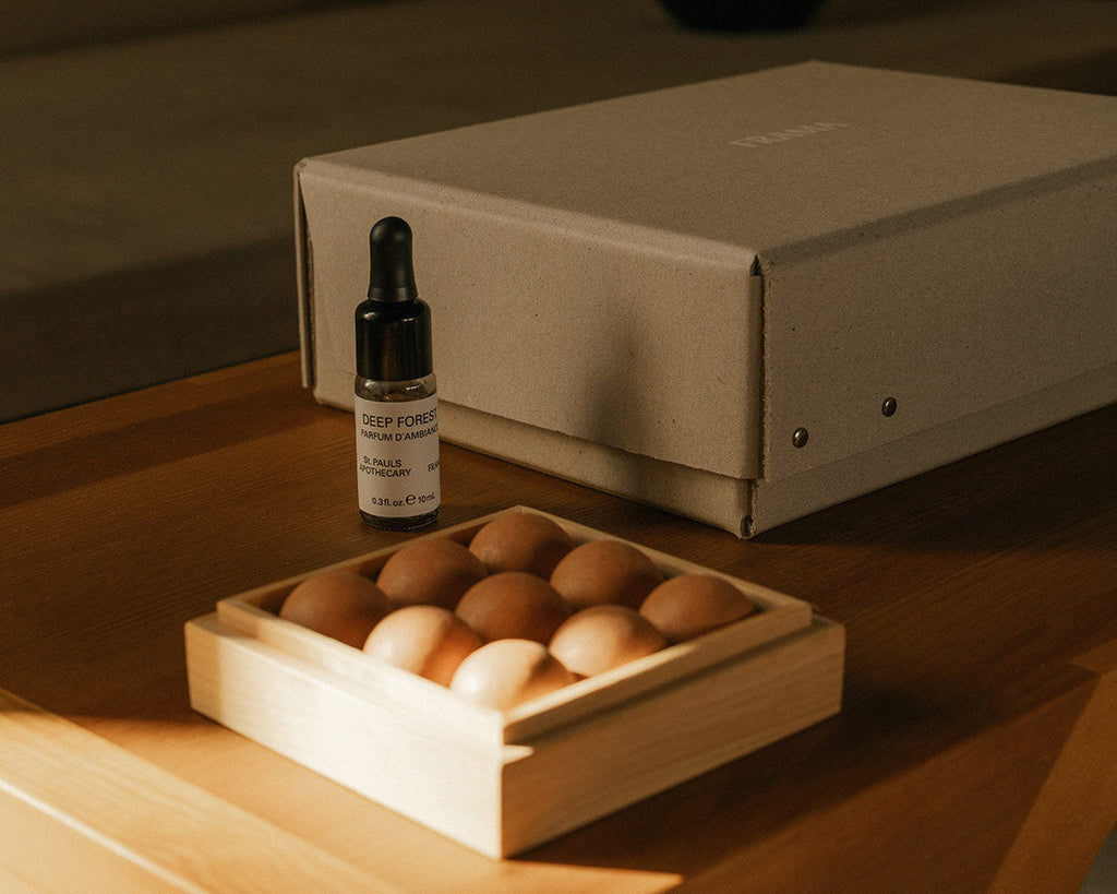 FRAMA - Gift Box: From Soil To Form Diffuser + Oil | Deep Forest St. Paul's Apothecary