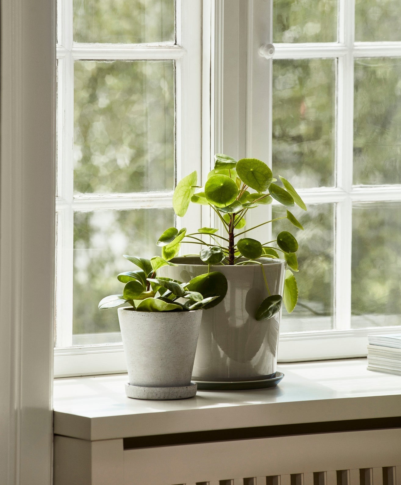Flowerpot with Saucer HAY