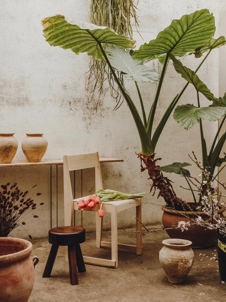 AML STOOL | DARK PINE Frama