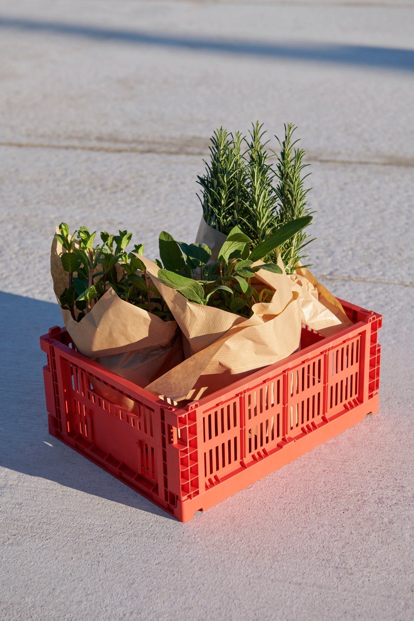 HAY Colour Crate HAY