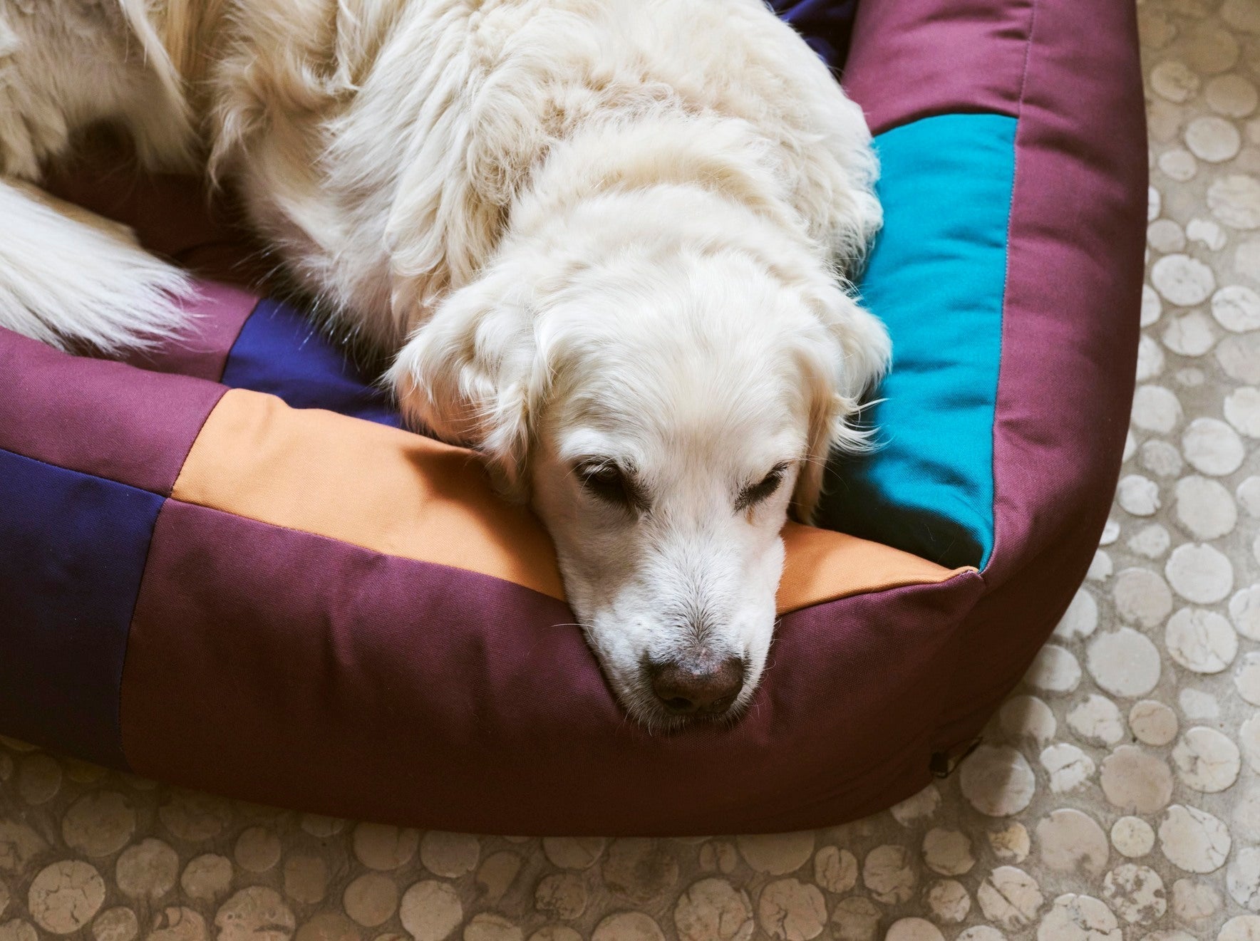 HAY Dogs Bed HAY