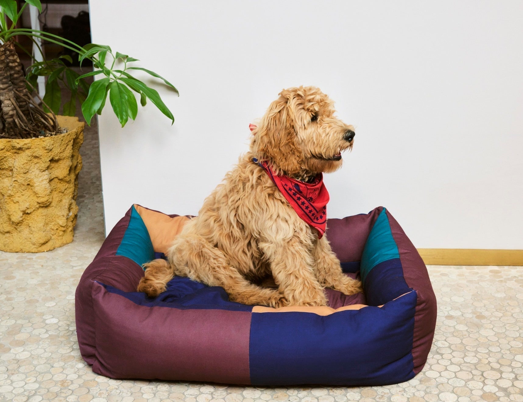 HAY Dogs Bed HAY