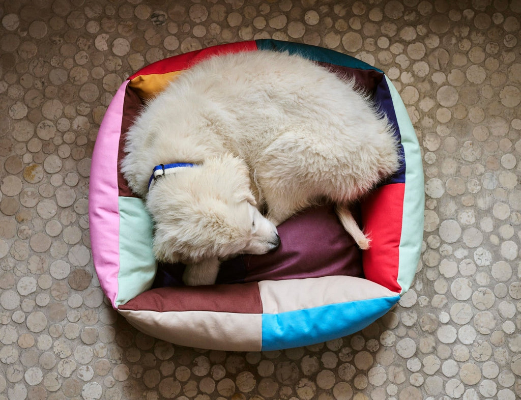 HAY Dogs Bed HAY