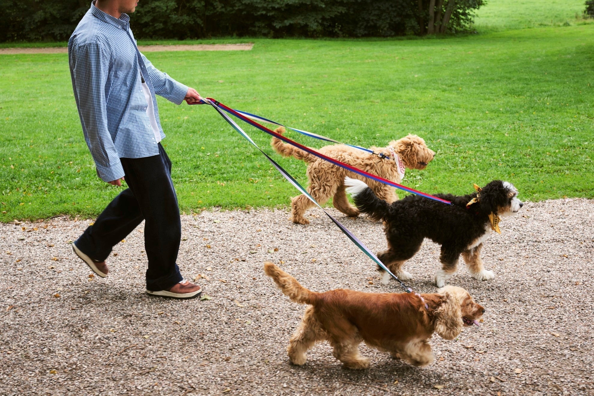 HAY Dogs Leash HAY
