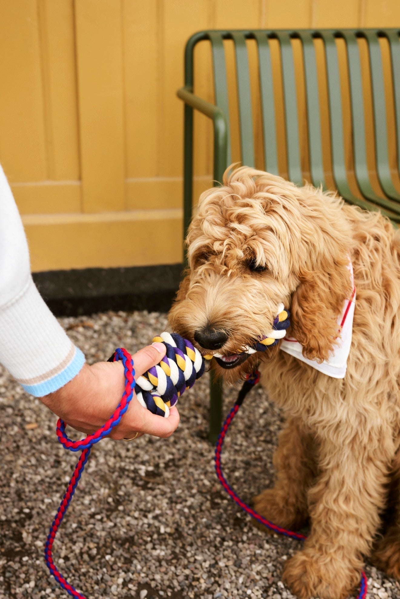 HAY Dogs Rope Toy HAY