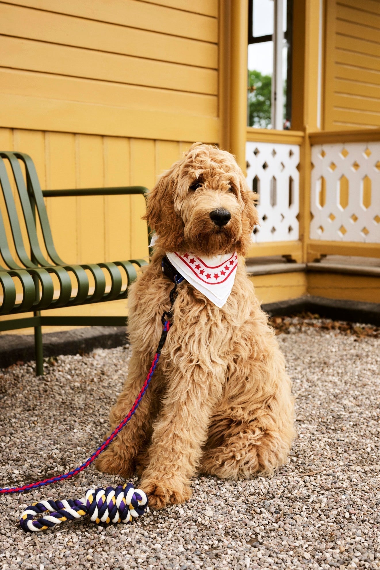 HAY Dogs Rope Toy HAY