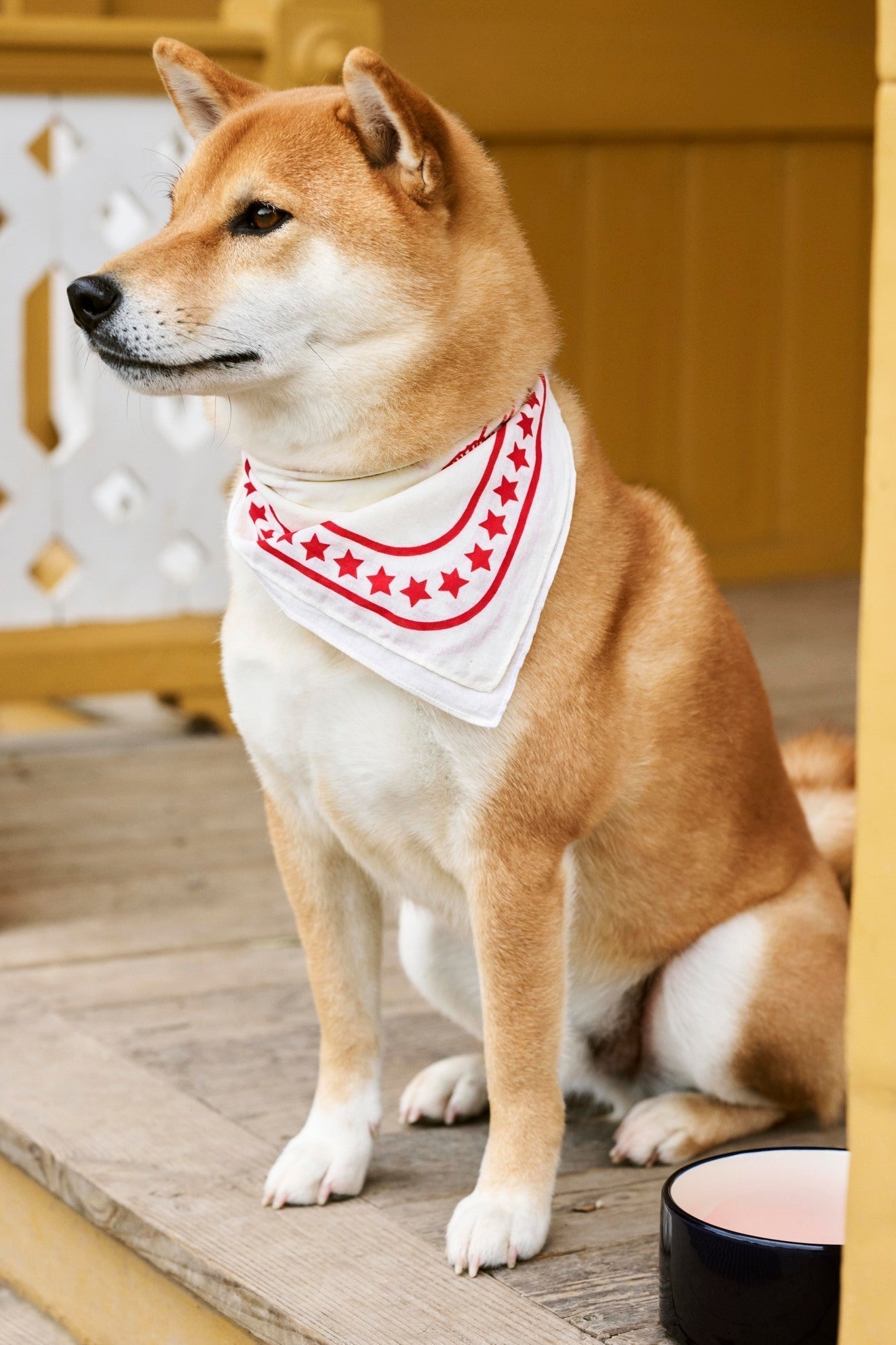 HAY Dogs Scarf HAY