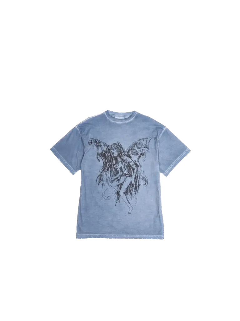 Belief In Fairies Fine Chaos