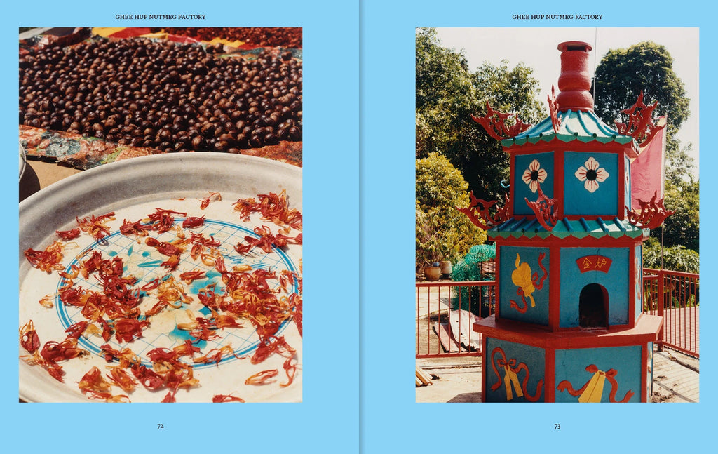 PENANG: Recipes & Wanderings Around an Island in Malaysia apartamento