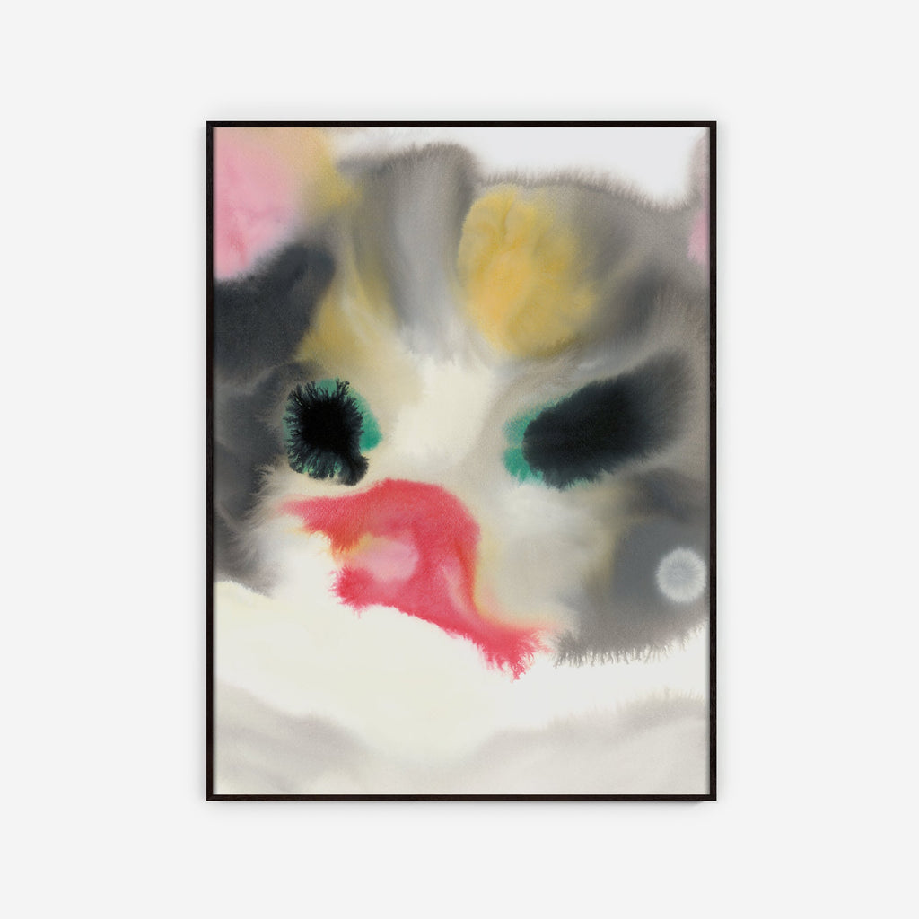 Cat – Edition
