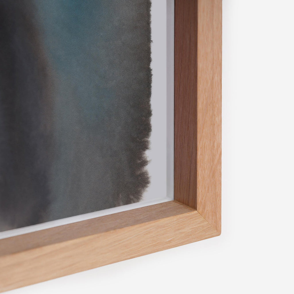 Dolphin – Edition Rop van Mierlo