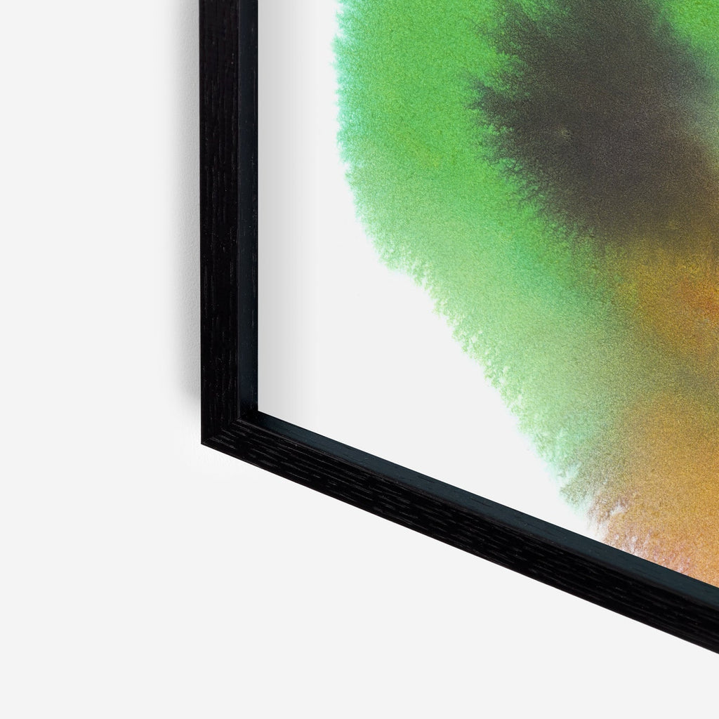 Frog – Edition Rop van Mierlo